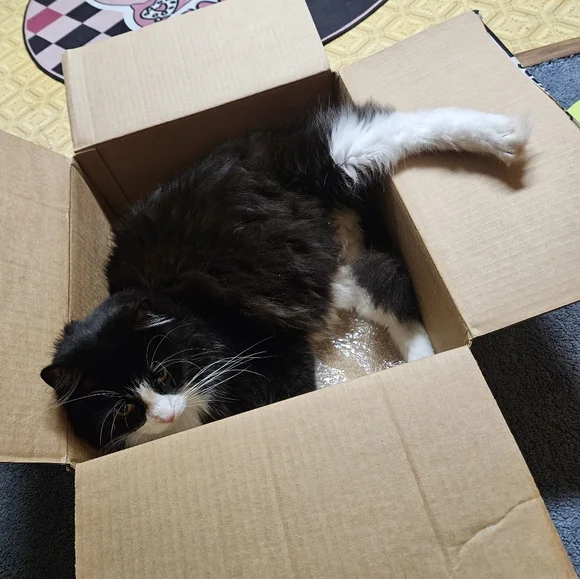 He loves anything new! - Picture 2 of 4